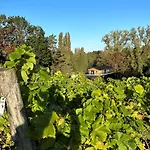 Avec Jacuzzi Les Pieds Dans La Vignes *