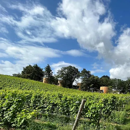 Avec Jacuzzi Les Pieds Dans La Vignes *