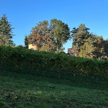 Avec Jacuzzi Les Pieds Dans La Vignes