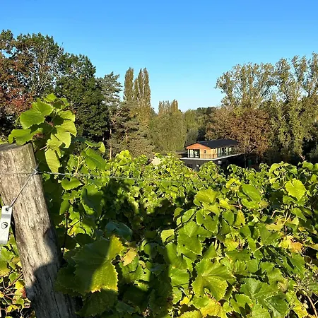 Avec Jacuzzi Les Pieds Dans La Vignes *