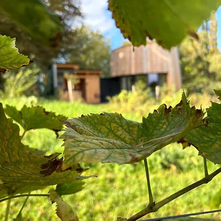 Avec Jacuzzi Les Pieds Dans La Vignes